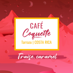 Café de spécialité Coquette process red honey aux notes de fraise et de caramel, réguion Tarrazu du Costa Rica